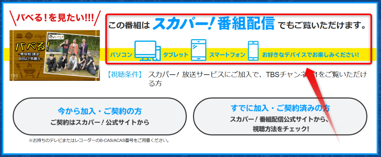 バベるはネット配信でも見れる