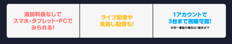 スマホ・オンデマンド視聴・見逃し配信あり
