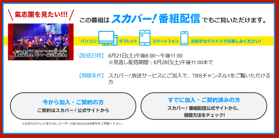 氣志團 全國ホールGIGツアー2025 「シン・氣志團現象」はTBSチャンネルで放送・配信（スカパー番組配信でスマホ視聴可能）