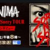 WANIMA Sorry Not Sorry TOUR＆SPインタビューTBSチャンネル・スカパーテレビ放送・配信視聴方法