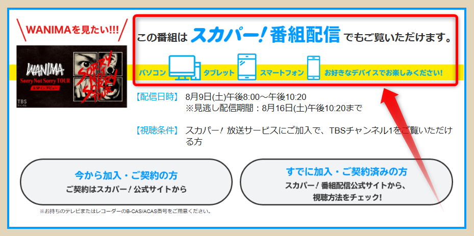 WANIMA Sorry Not Sorry TOUR＆SPインタビューはTBSチャンネルで放送・配信