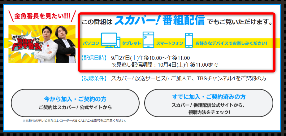 金魚番長の目指せ!ドラマ番長はTBSチャンネルで放送・配信(スカパー番組配信でスマホ視聴可能)