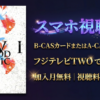 吉井和哉武道館ライブ「IVIVI BLOOD MUSIC」テレビ放送・配信視聴方法・フジテレビTWO・スカパー契約方法