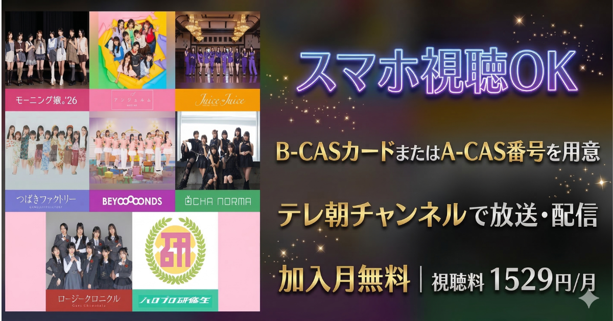 ひなフェス2026テレビ放送・配信視聴方法