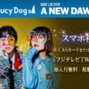 Saucy Dog京セラドームライブ/テレビ放送・配信視聴方法・フジテレビTWO・スカパー契約方法