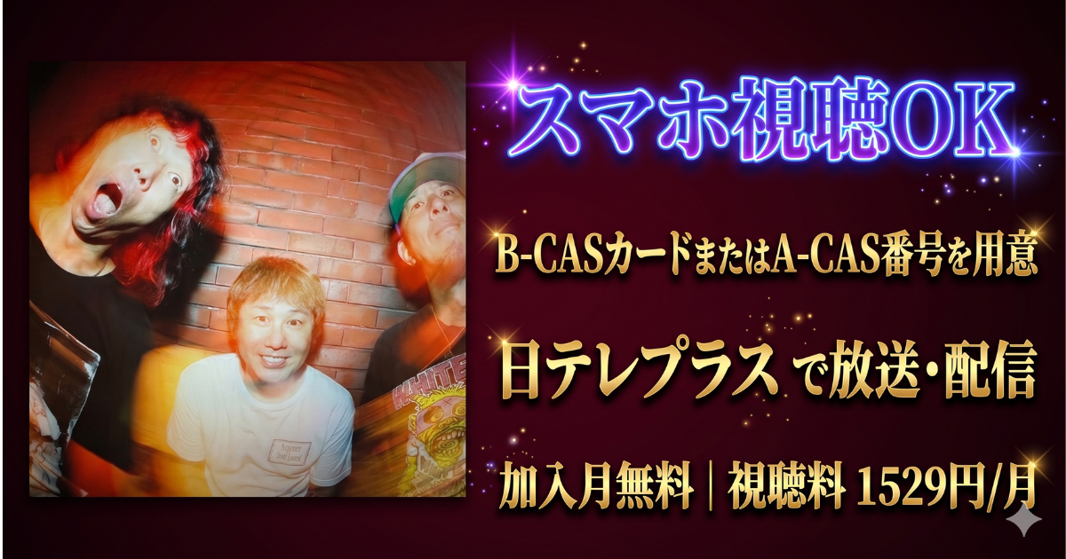 Hi-STANDARD「Screaming Newborn Baby Tour」日テレプラス・スカパー視聴方法