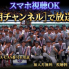 2026日本リトルシニア日本選手権配信・テレビ放送視聴方法