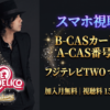 LOVE PSYCHEDELICOファイナルライブテレビ放送・配信視聴方法